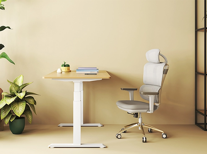 Standing Desk (Double Motor)