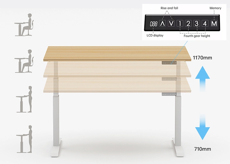 Standing Desk (Double Motor)