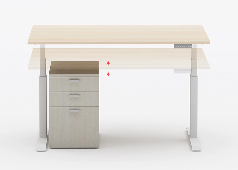 Standing Desk (Double Motor)